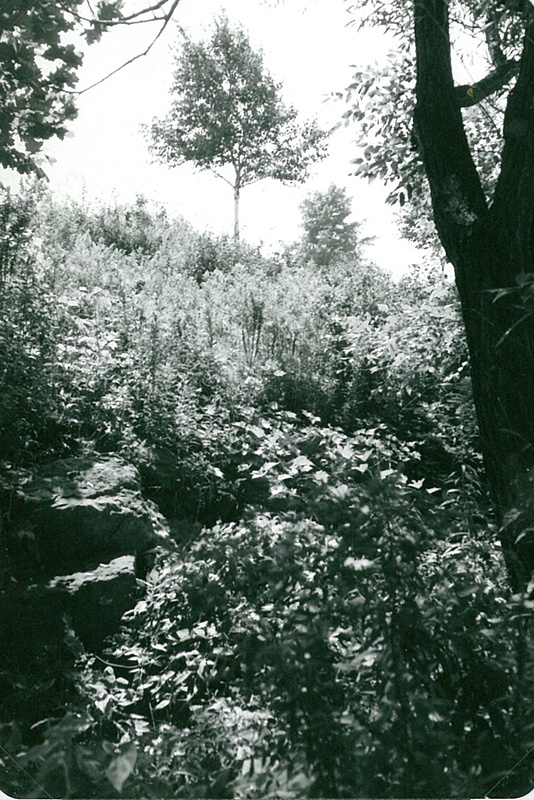 Pleasant Point, #2