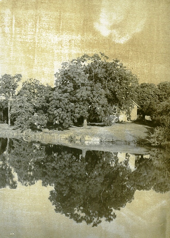 Summer Reflections