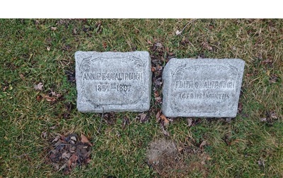 Grave - QUALTROUGH, Edith - (Aged 18 Months)