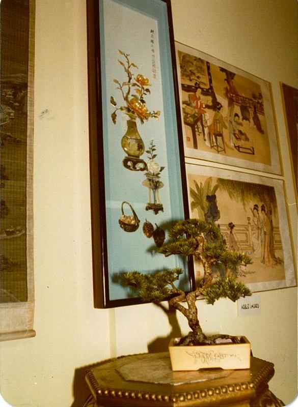 Chinese Cultural Awareness Week, #3