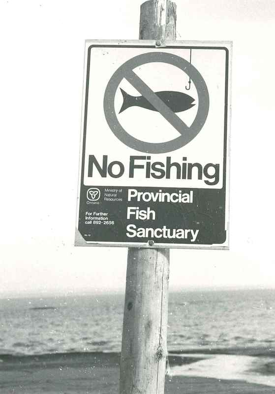 Fishermen Beware