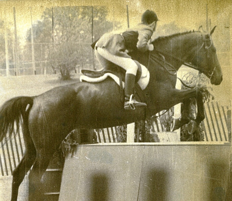 Unidentified Horse and Jockey