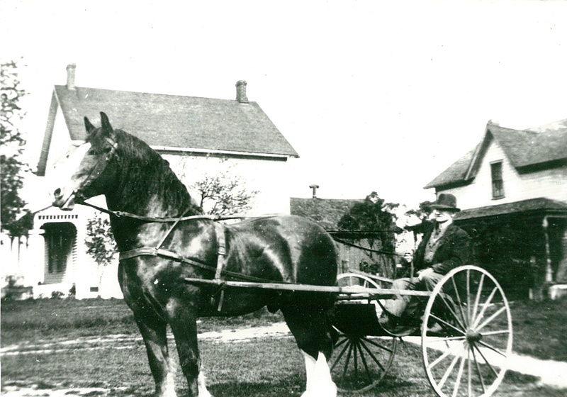 Unidentified Man with a Horse