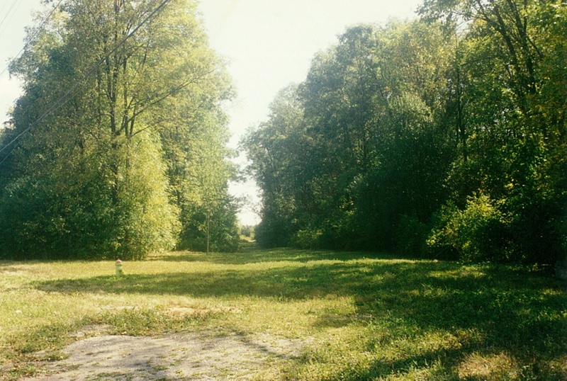 Old Railroad Spur to Railroad Ferry at the Foot of Beatrice Street