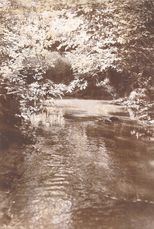 Quiet Reflections