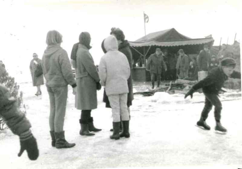 Winter Skating Party, #3