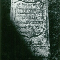 AnniaLappTombstone.jpeg