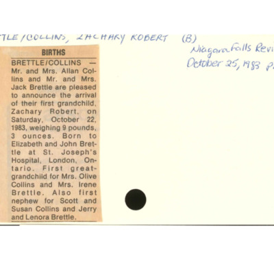 birthzacharybrettlecollins.pdf