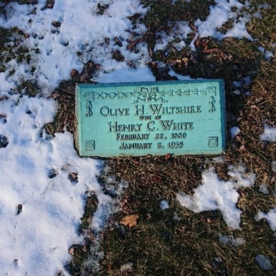 graveolivewiltshire.jpg