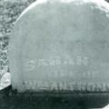 SarahAnthonyStone.jpeg