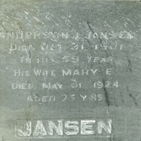 AndersonJansenStone.jpeg