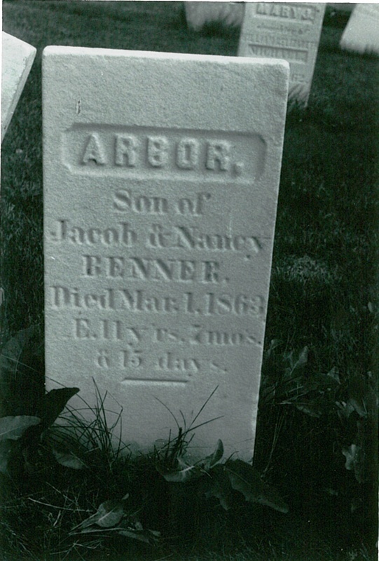 Arbor Benner