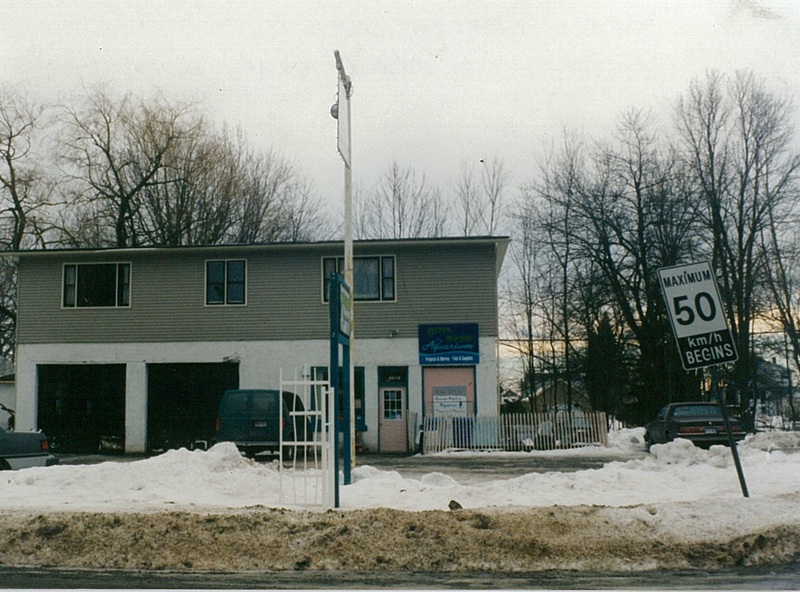 Aquarium Store