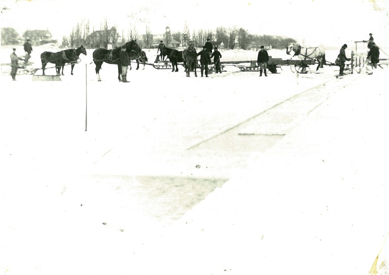 Horse-drawn Wagons, #2